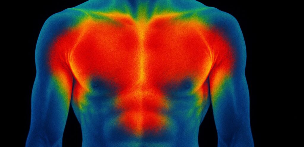 Corps thermo, zones de chaleur et transpiration