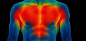 Corps thermo, zones de chaleur et transpiration